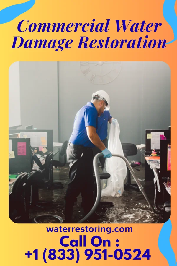 Commercial Water Damage Restoration in Universal, IN