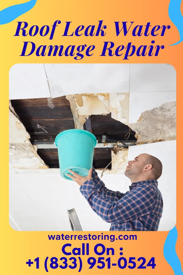 Roof Leak Water Damage Repair in Universal, IN